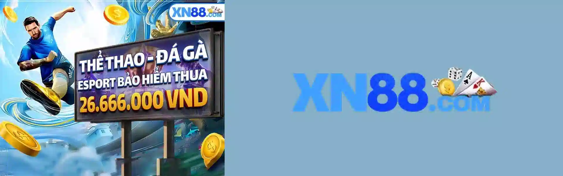 Banner XN88