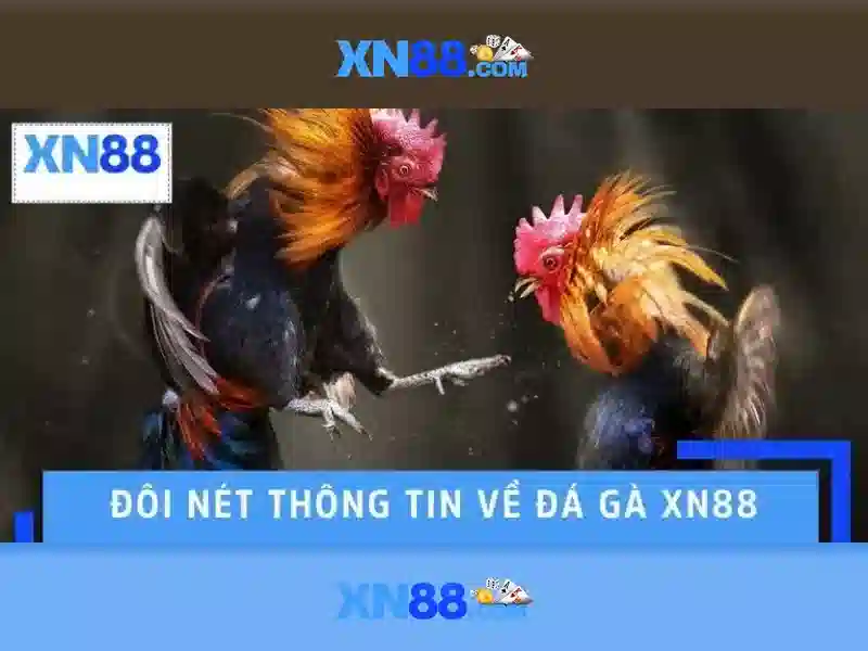 Các sản phẩm chính của xn88