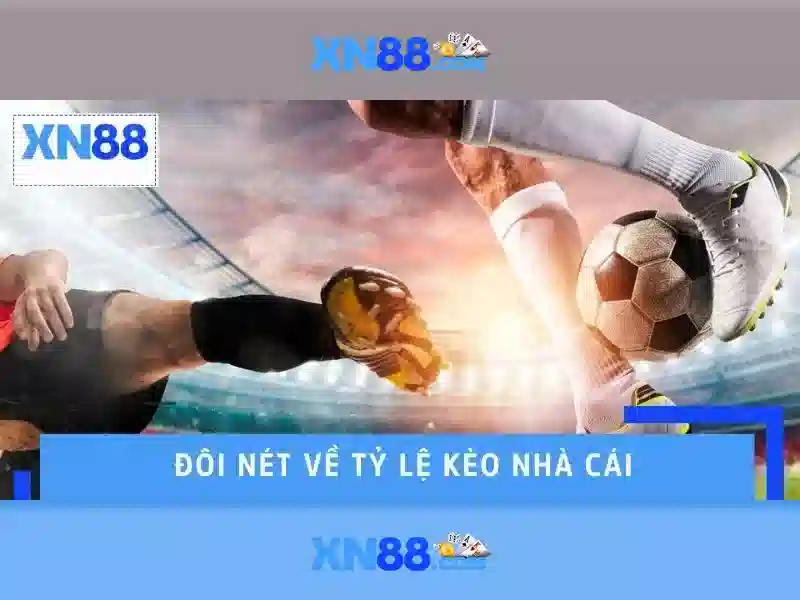 Tại sao XN88 được ưa chuộng?