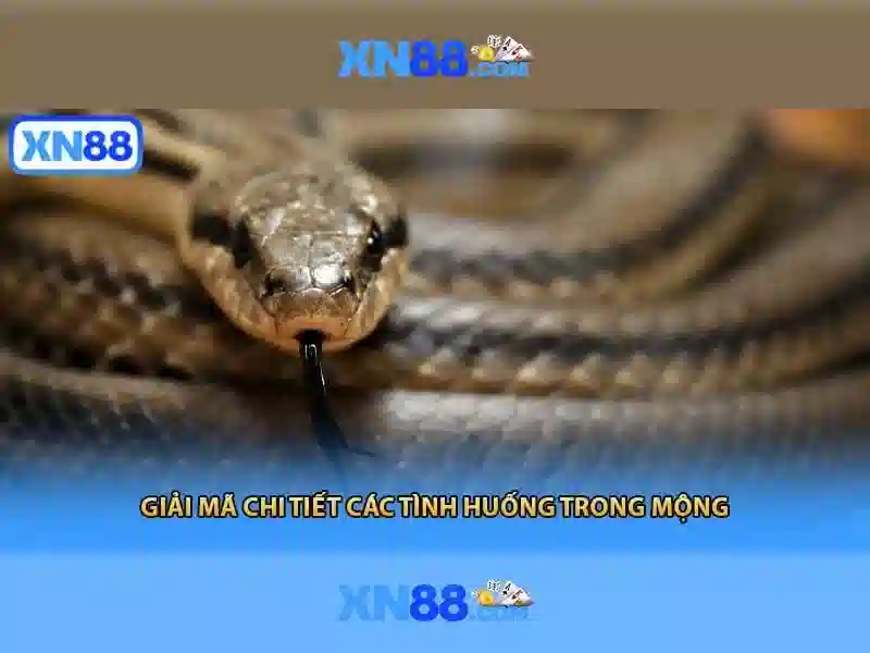 Bảng so sánh chuyên sâu 5x5 đối thủ ngành