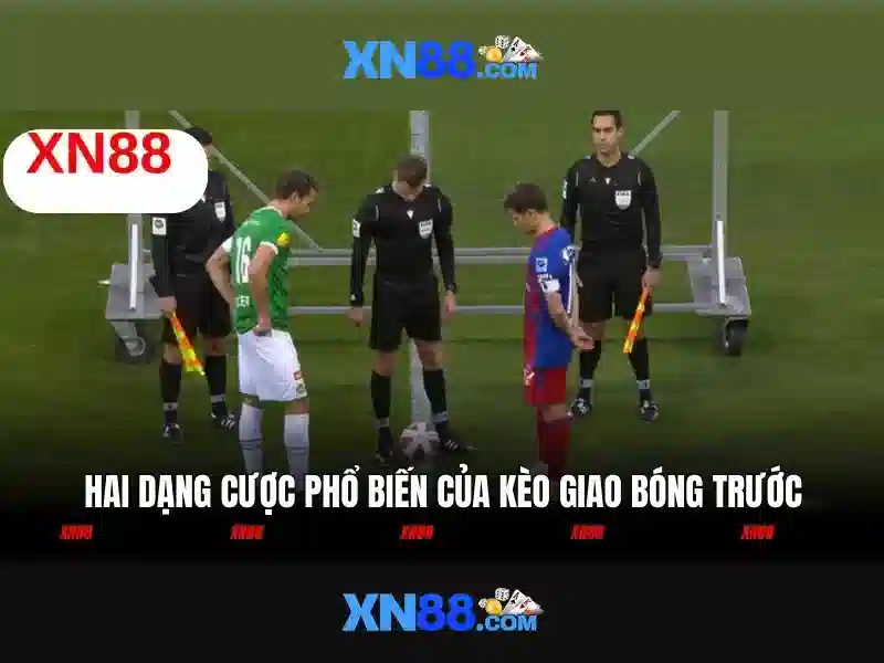 Giới thiệu về xn88