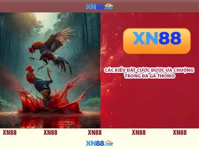 Hướng dẫn thanh toán và rút tiền