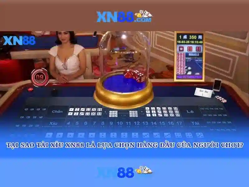 Tính năng và ưu điểm