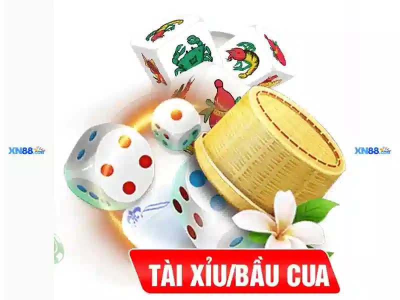 Nền tảng và giao diện người dùng