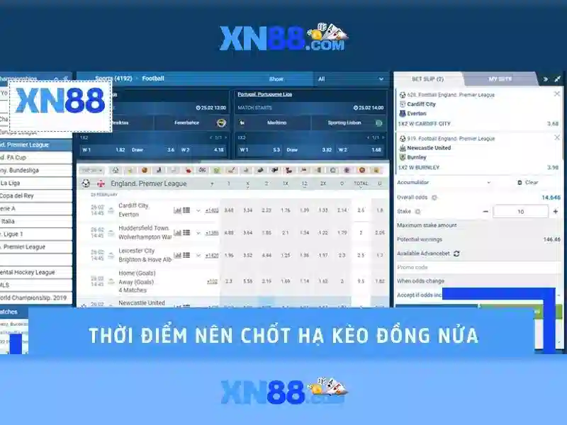 xn88 là gì và tại sao nó được chú ý