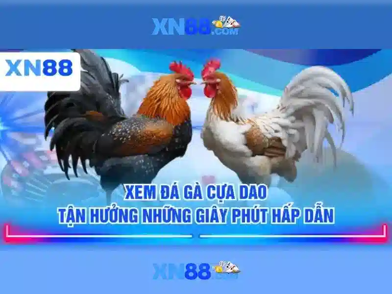 Lịch sử và sự phát triển của xn88