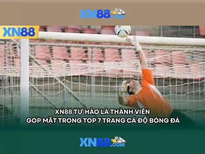 An toàn và hỗ trợ