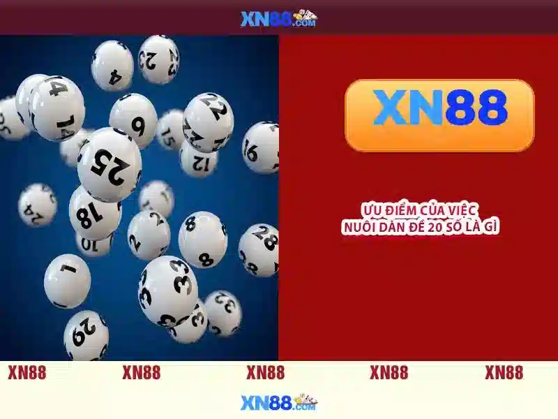 Hỗ trợ người chơi và cộng đồng