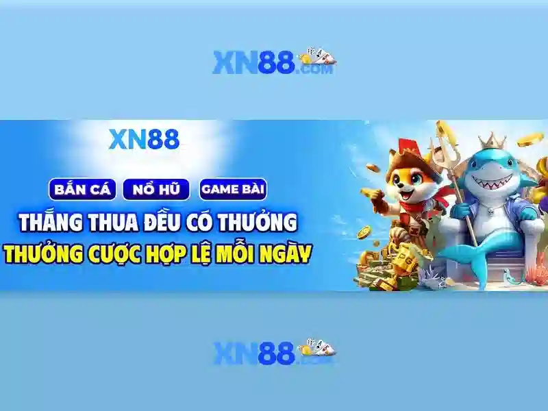 Hỗ trợ người dùng
