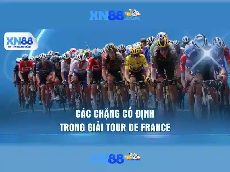 Lịch sử và nguồn gốc