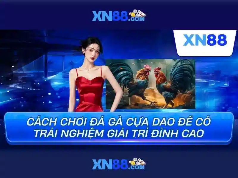 Tính năng nổi bật