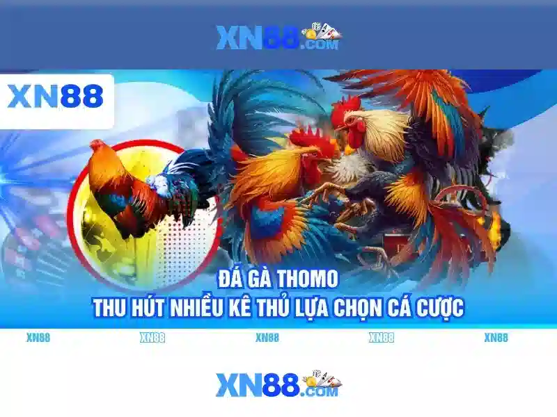 Giới thiệu về XN88