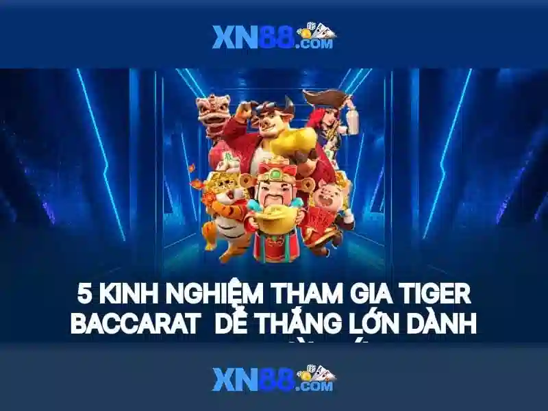 Giới thiệu về xn88