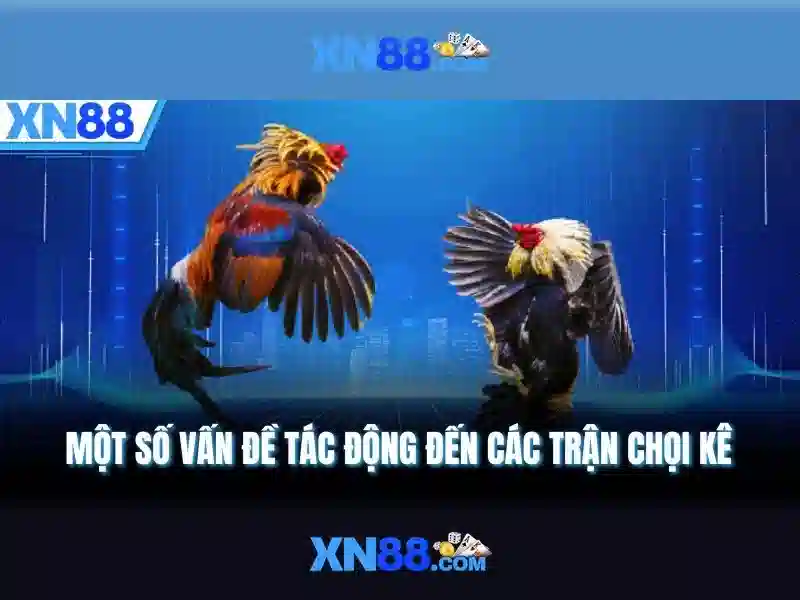 Nền tảng và công nghệ