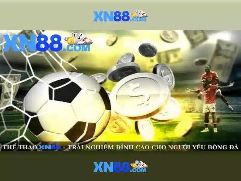Đối tượng người dùng và trải nghiệm
