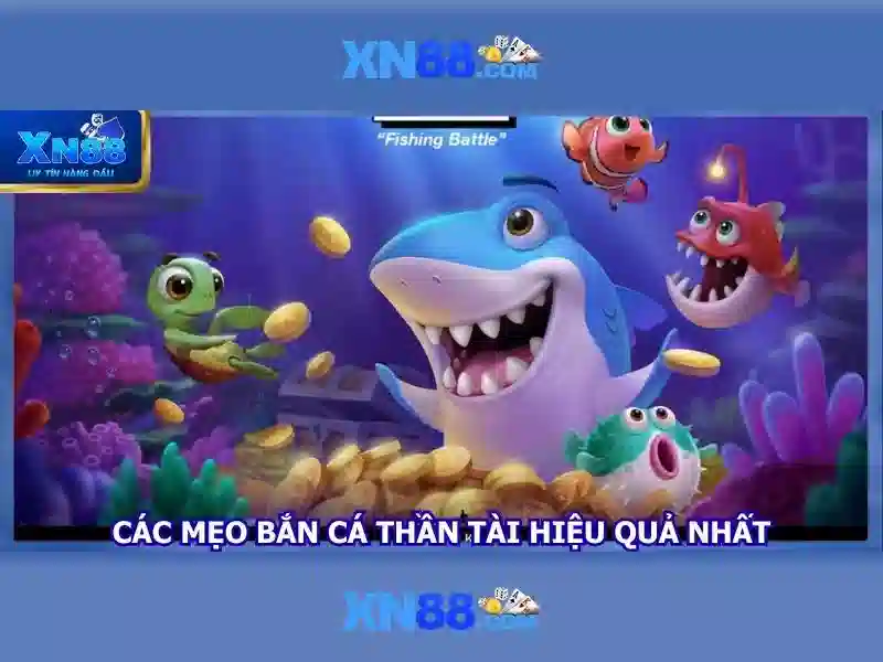 Các sản phẩm và dịch vụ