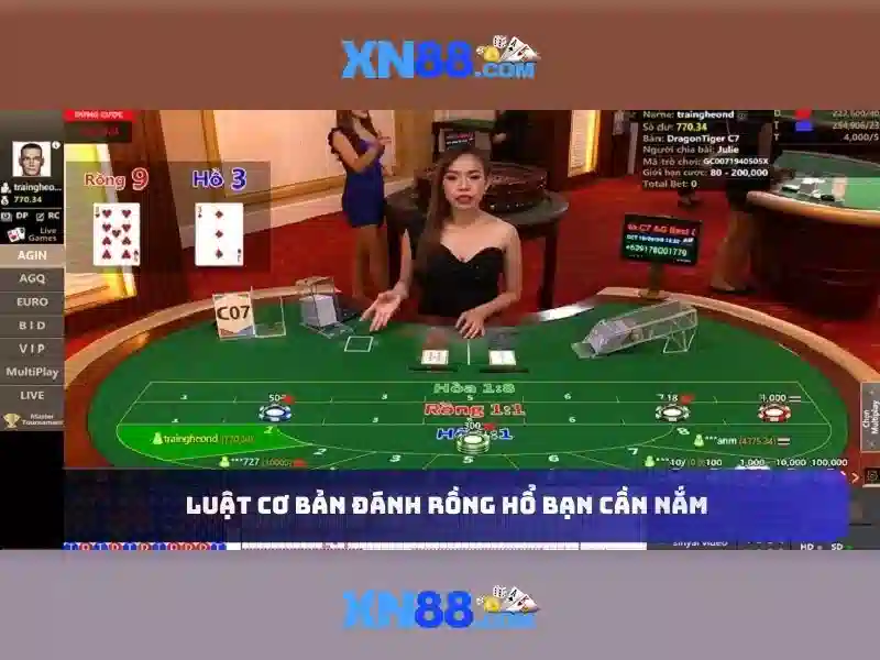 Giới thiệu về xn88
