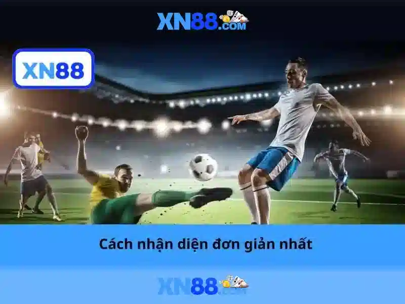 Lưu ý về an toàn và quản lý chi tiêu