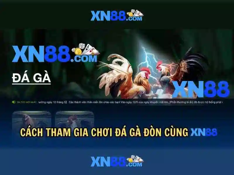 Các tính năng nổi bật của xn88