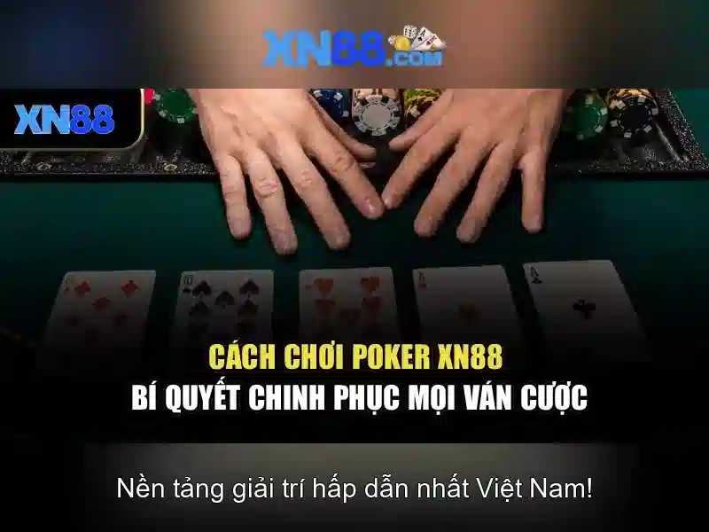 Các tính năng chính