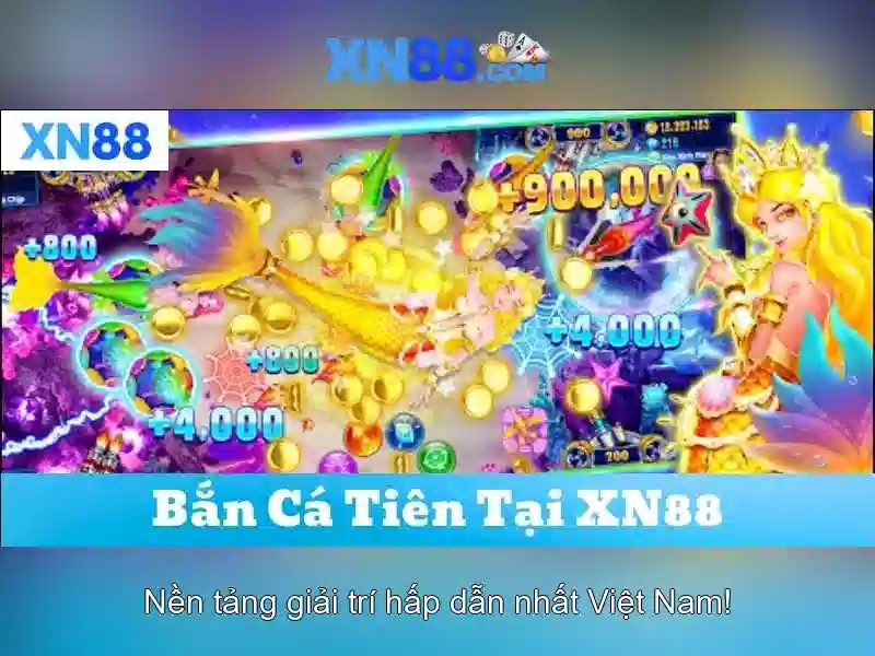 Hỗ trợ khách hàng và cộng đồng