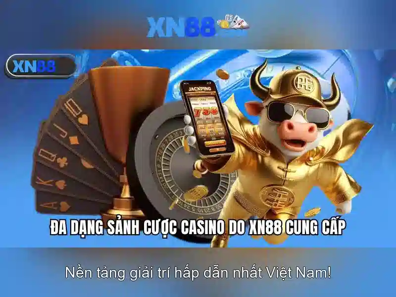 Lịch sử và nguồn gốc