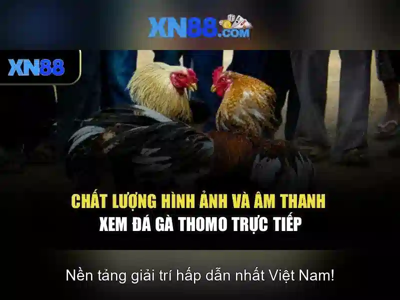 Cung cấp trò chơi và thể loại