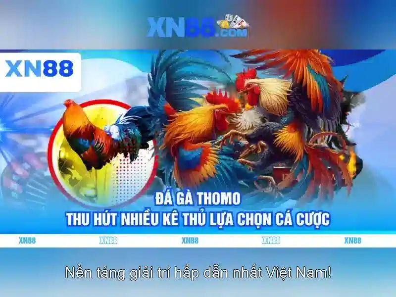 Giới thiệu về xn88