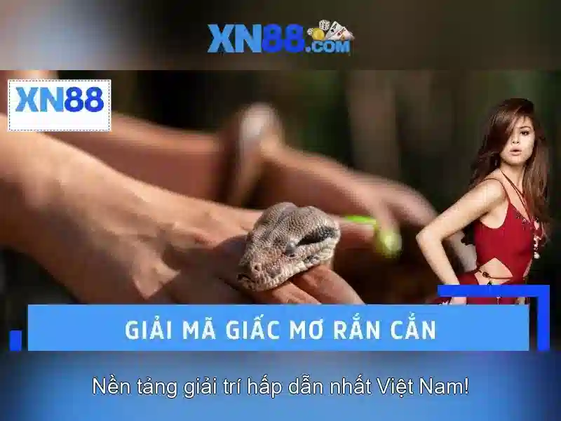 Tong dai vien XN88 ho tro qua dien thoai