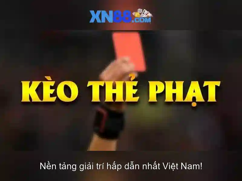 Kết luận và triển vọng