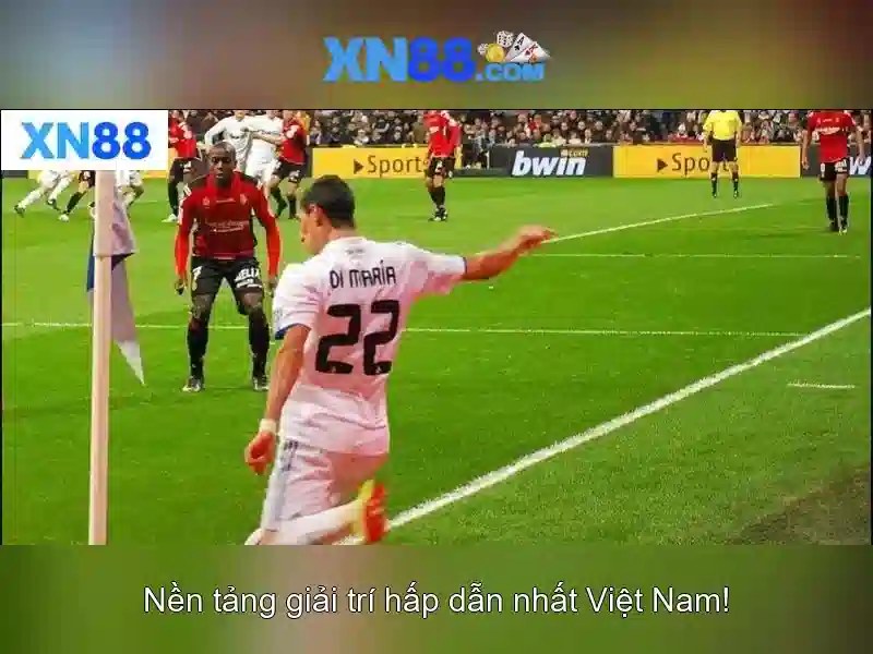 Nền tảng và giấy phép