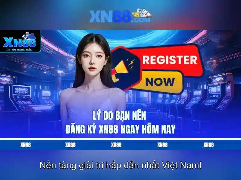 Kinh nghiệm người dùng và hỗ trợ