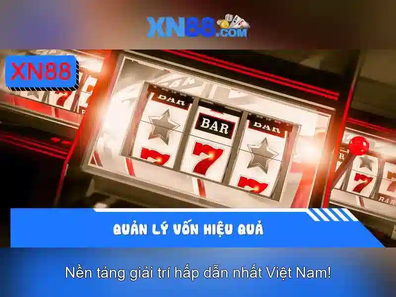 An toàn và trách nhiệm cho người chơi