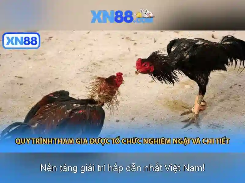 Tính năng nổi bật