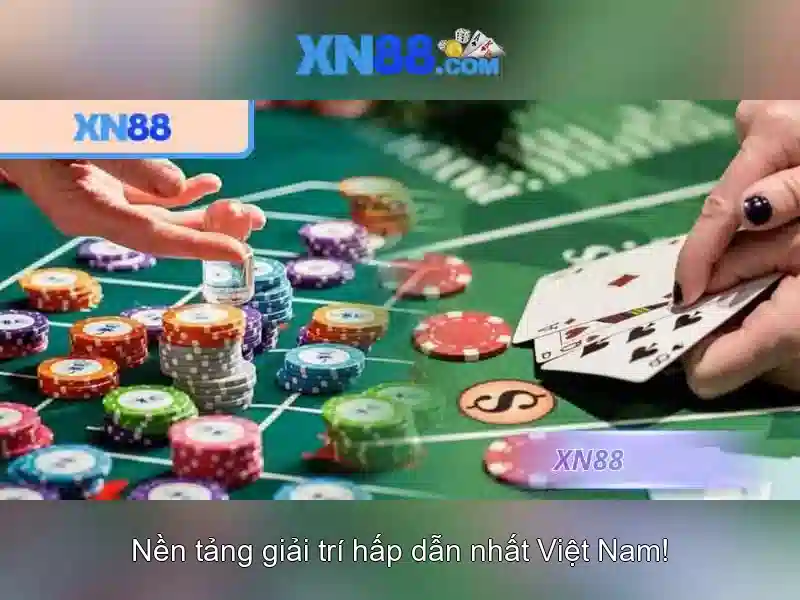 Khám phá nền tảng và giao diện