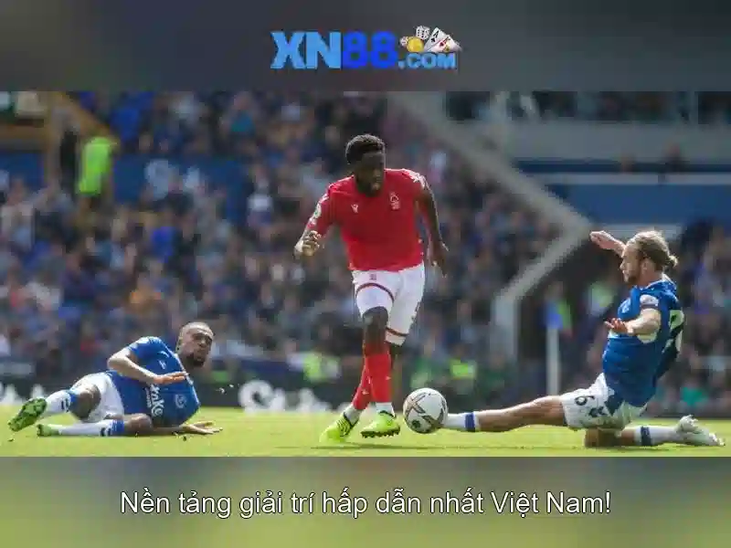An toàn và trách nhiệm khi chơi