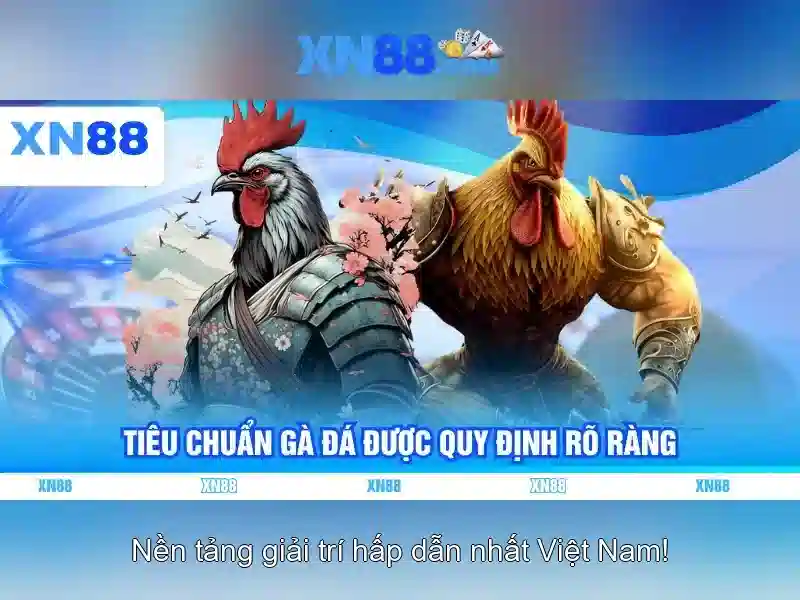 Giới thiệu về xn88