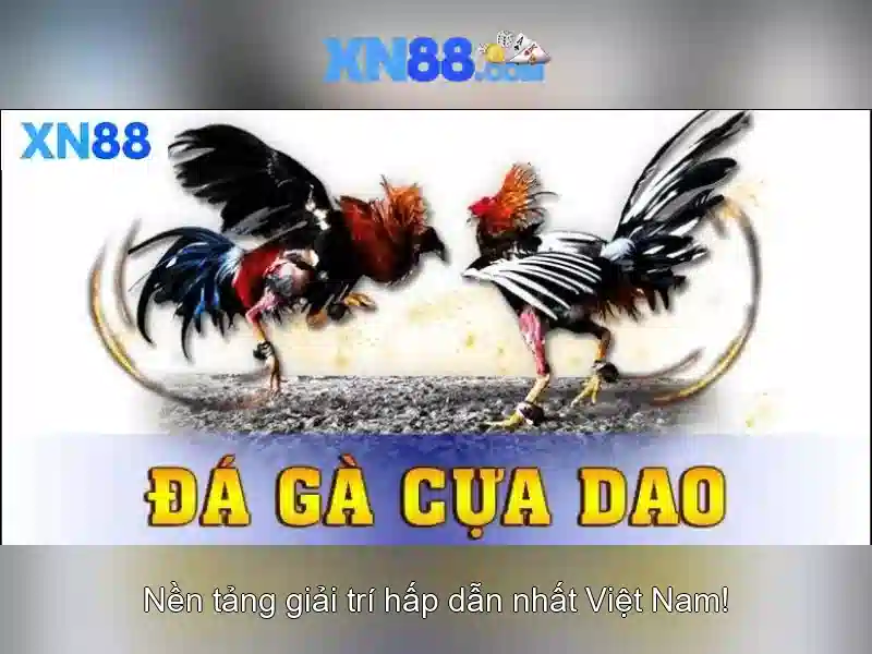 Lý do để người chơi tin dùng xn88