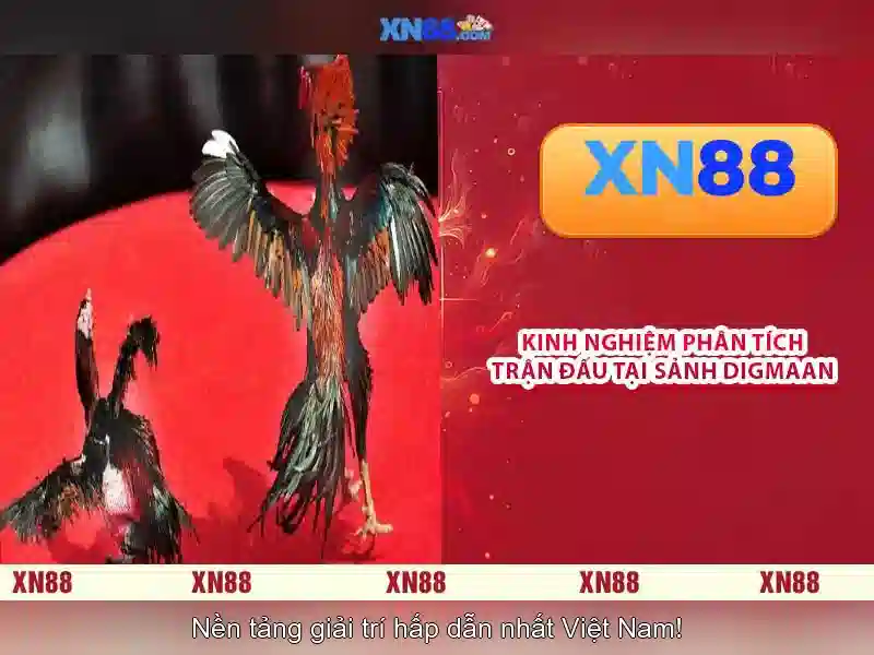 Tầm nhìn và sứ mệnh của Xn88