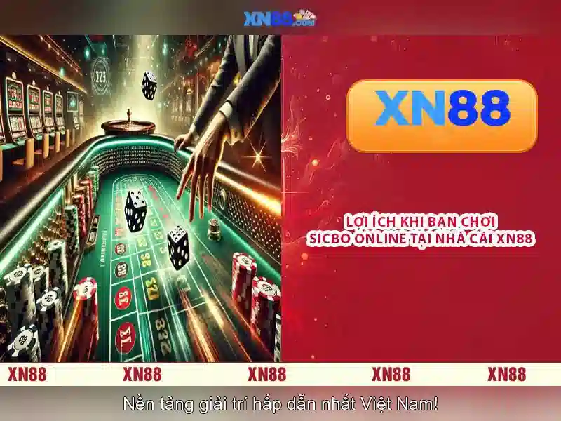An toàn và trách nhiệm khi tham gia
