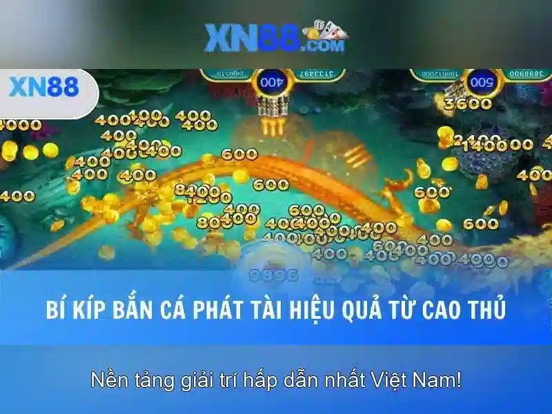 Giới thiệu về Xn88