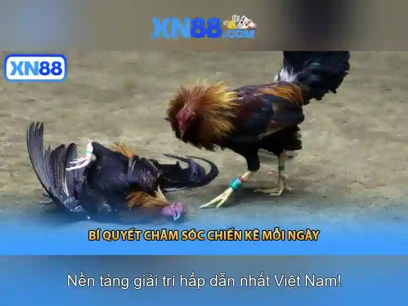 Cách tham gia xn88 một cách an toàn