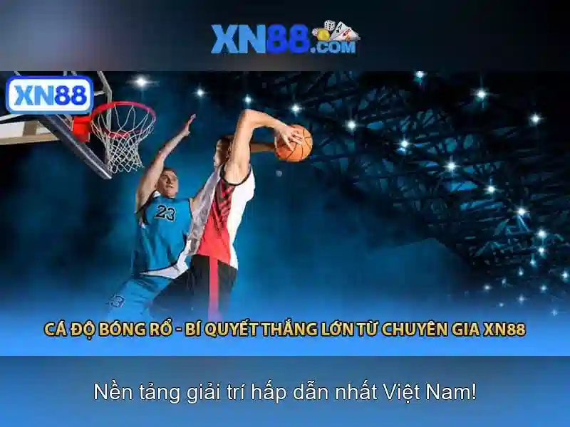 Nền tảng và công nghệ