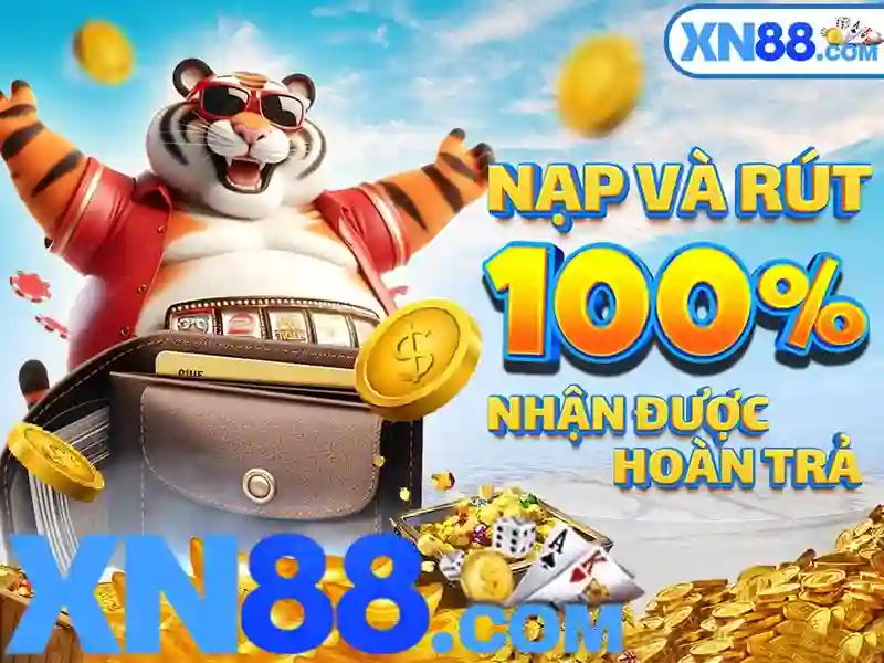 Nền tảng và trải nghiệm người dùng