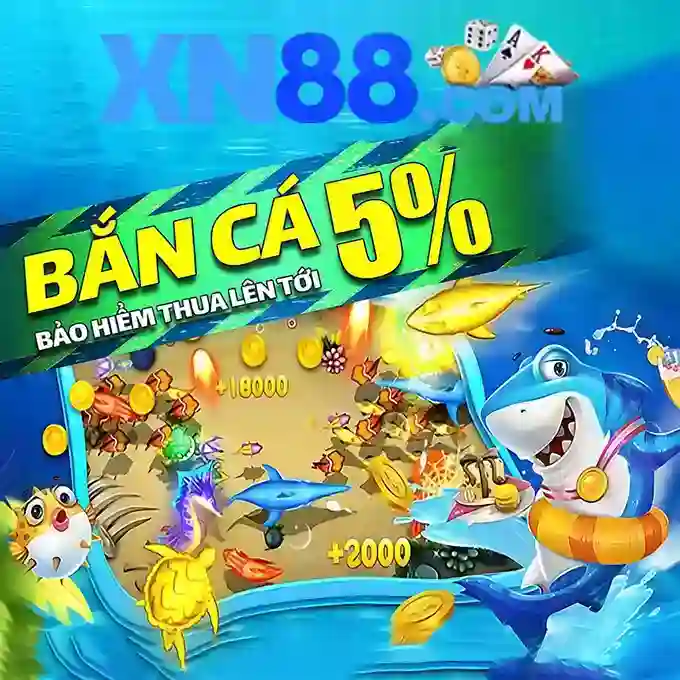 Nền tảng và sản phẩm